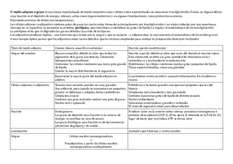 Esquemas-Histologia-animal.pdf