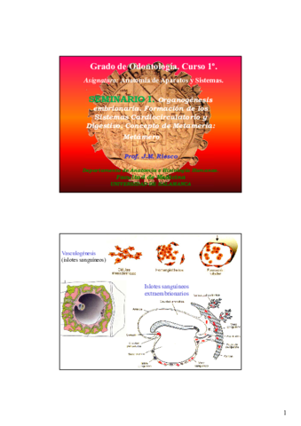 S1-Organogenesis-embrionaria-Sistema-cardicirculatorio-y-digestivo.pdf