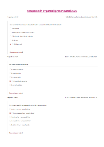 FAH-Recuperacion-1o-cuatri.pdf