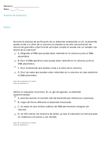 IG-CORRECCION-EXAMEN-PL.pdf