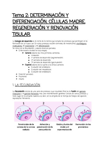 Tema-2.pdf