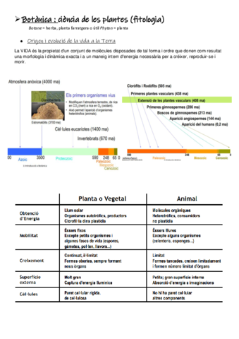 Apuntes-t1-t7.pdf