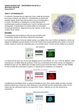 TEMA 3 biologia celular.pdf