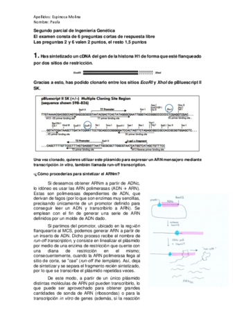 Parcial-2-Paula-Espinosa-Molina.pdf