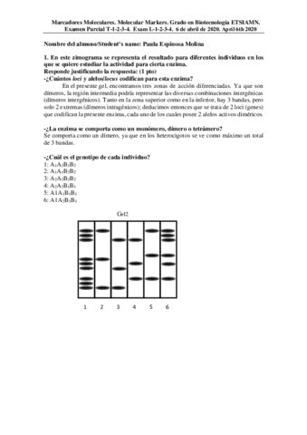 P1EXAMEN6abrilT1-4alumnos.pdf