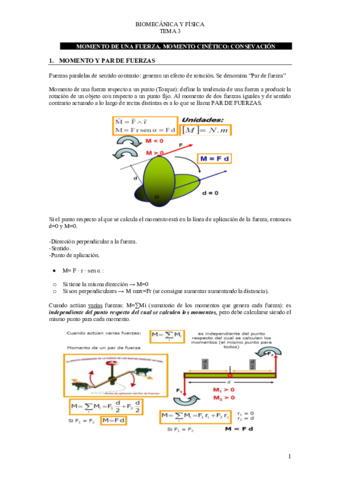 Tema-3-fisica.pdf