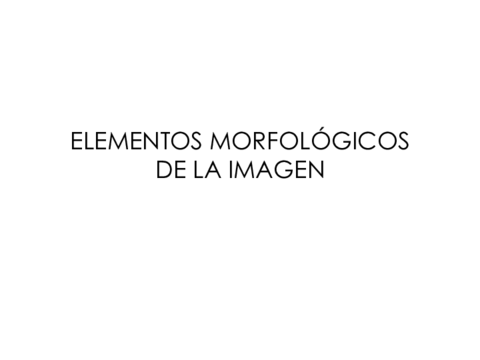 X-04IMAGENELEMENTOSMORFOLOGICOSSIN.pdf