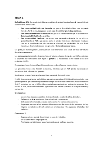 TEMARIO-TAC.pdf