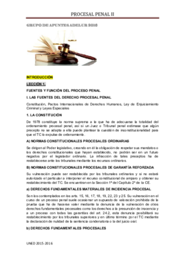 PROCESAL PENAL II 2016 ADELUR.pdf