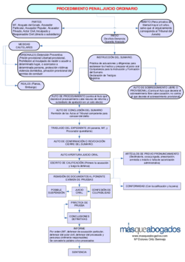 ESQUEMA PROCEDIMIENTO_PENALJUICIO_ORDINARIO.pdf