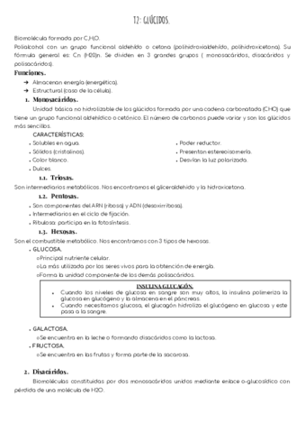 T2-Glucidos.pdf