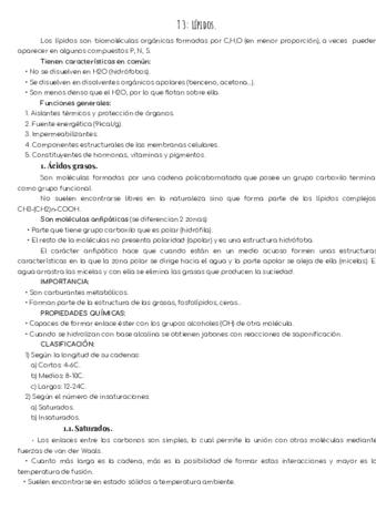 T3-Lipidos.pdf