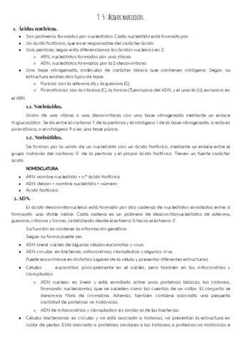 T5-Acidos-nucleicos.pdf