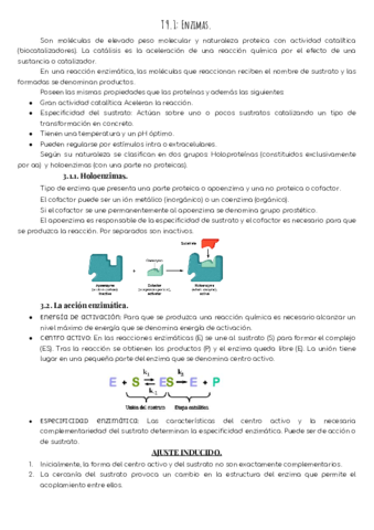 T6. Enzimas