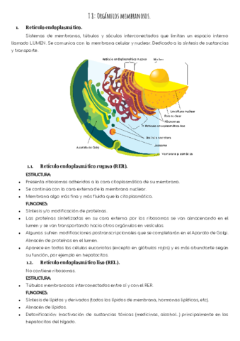 T8-organulos-celulares-membranosos.pdf