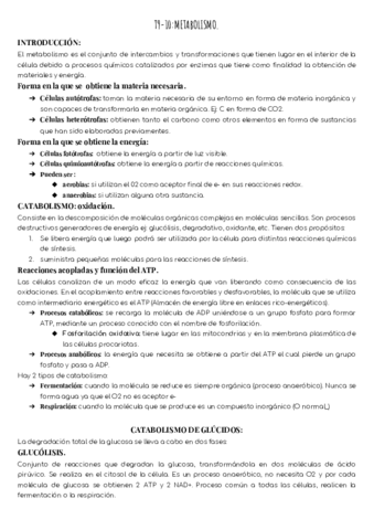 T9-10-Metabolismo.pdf