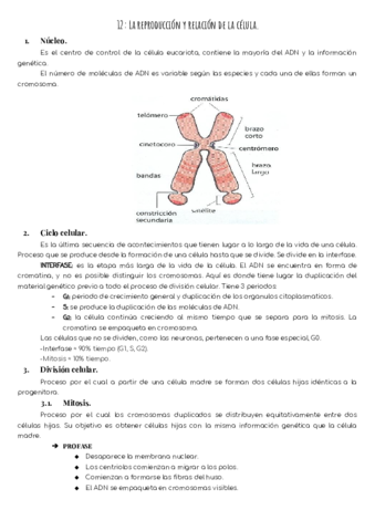 T12-La-reproduccion-y-relacion-de-la-celula.pdf