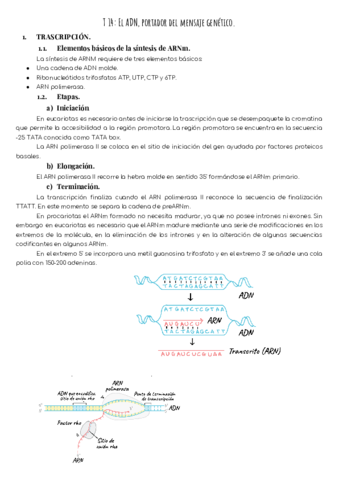 T14-El-ADN-portador-del-mensaje-genetico.pdf