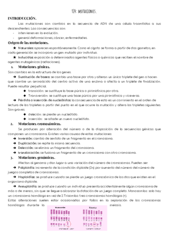 T15-Las-mutaciones.pdf