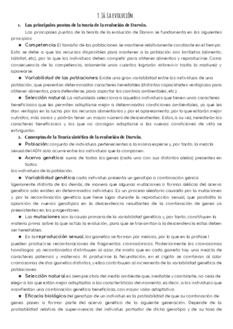 T16-evolucion.pdf