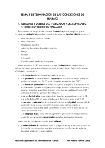 TEMA-3-mio.pdf