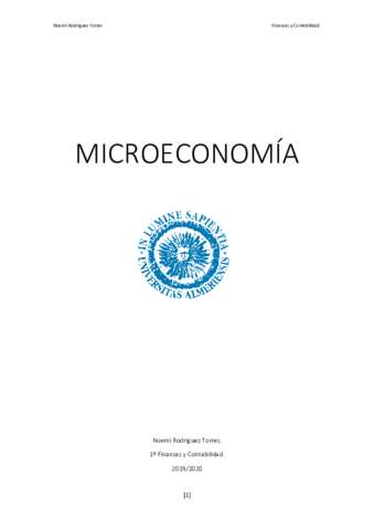 MI-RESUMEN-MICRO.pdf