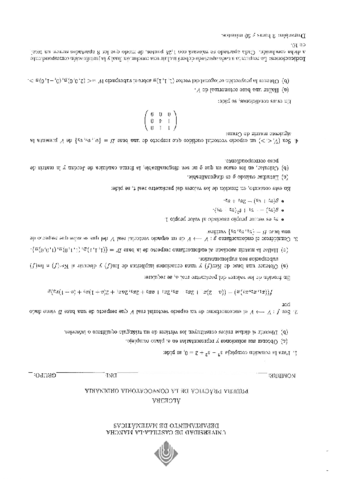 AlgebraEnero-2014Resuelto.pdf