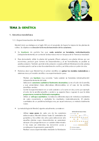 TEMA-3-GENETICA.pdf