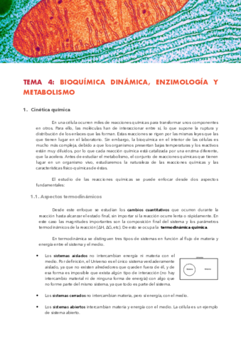 TEMA-4-BIOQUIMICA-DINAMICA.pdf