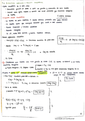 T1-Teoria-y-Ejercicios-.pdf