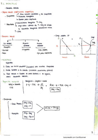 T2-teoria-y-ejercicios-.pdf