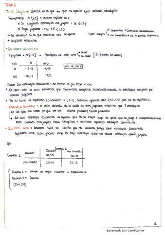 T3-Teoria-y-ejercicos-.pdf