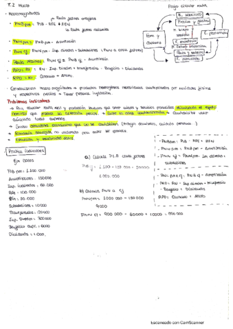 Teoria-Temas-Macro-1.pdf