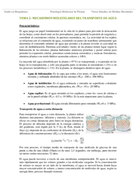 Tema 2. Potencial hídrico VSM.pdf