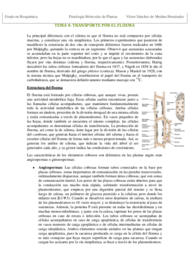 Tema 4. Transporte por el floema VSM.pdf