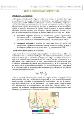 Tema 5. Pigmentos fotosintéticos VSM.pdf