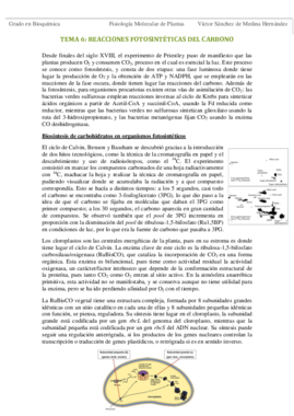 Tema 6. Reacciones fotosintéticas del carbono VSM.pdf