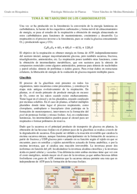 Tema 8. Metabolismo de los carbohidratos VSM.pdf