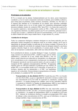 Tema 9. Asimilación de nitrógeno y azufre VSM.pdf