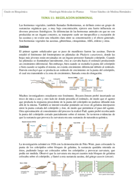 Tema 11. Regulación hormonal VSM.pdf