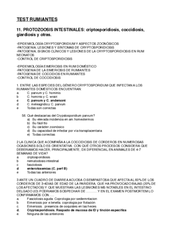 RUMIANTES-EXAM.pdf