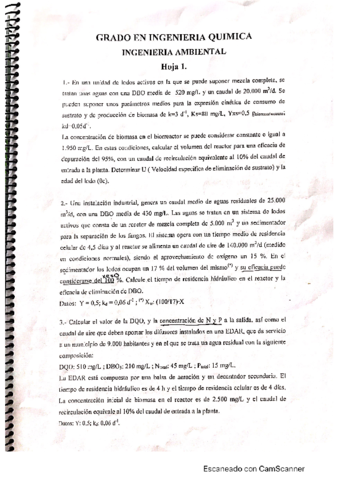 HOJAS-1-Y-2.pdf