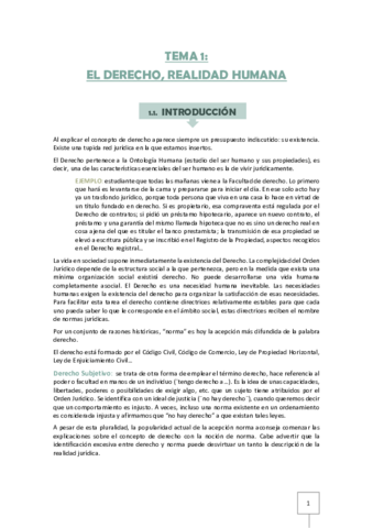 TEMA-1-IBD.pdf