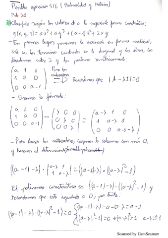 Ej-5-6-matrices-y-bilinealidad-ex-ant-algebra-resueltos.pdf