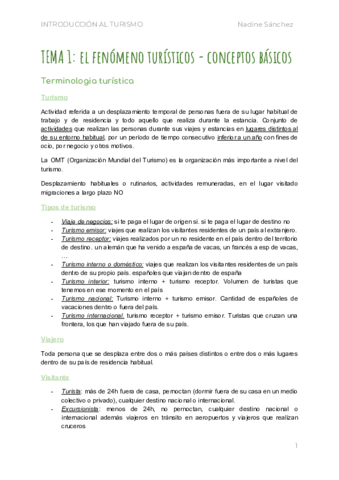 TEMA 1 el fenómeno turistico.pdf