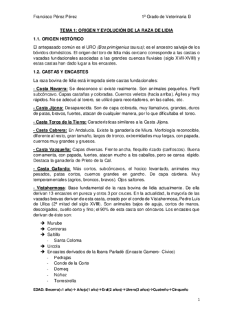 TORO-DE-LIDIA.pdf