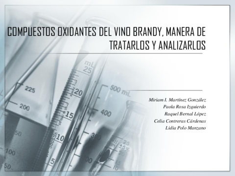 Proyecto-vino-Brandy-FINAL.pdf