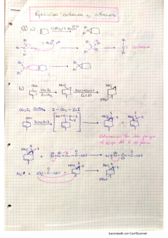 Ejercicios-carbenos-nitrenos.pdf