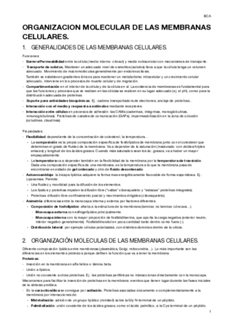 BCA-1.pdf