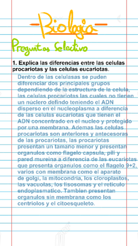 1.pdf